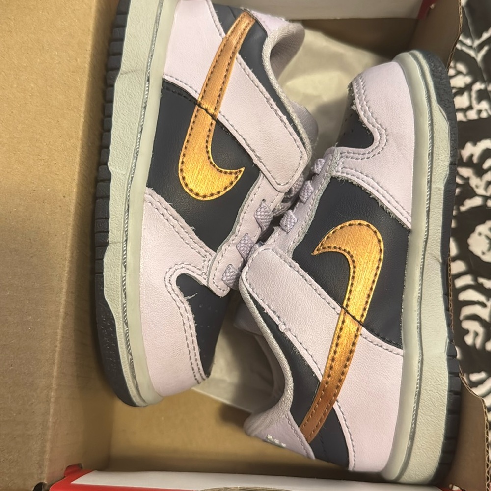 Toddler Nike Dunk Low SE (6C)